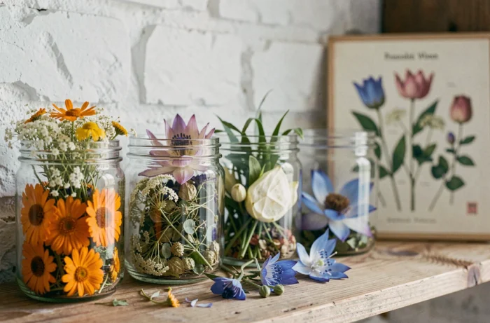 Collection de bocaux en verre remplis de fleurs bio séchées — calendula, sureau, verveine et lotus bleu — sur une étagère en bois patiné, idéal pour préparer des infusions florales maison